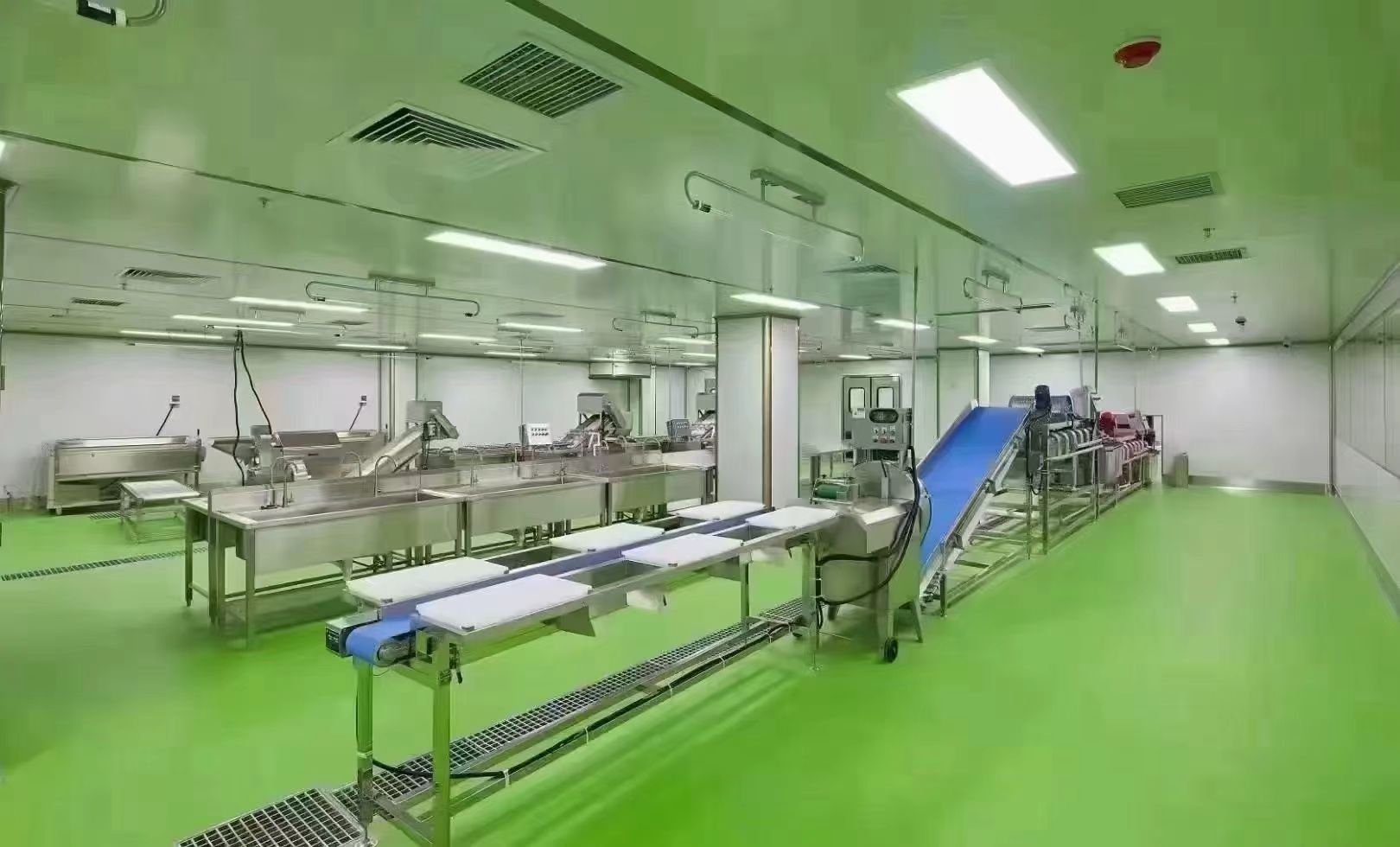 e1.jpg